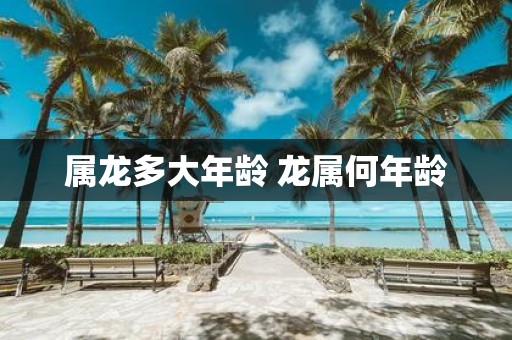 属龙多大年龄 龙属何年龄