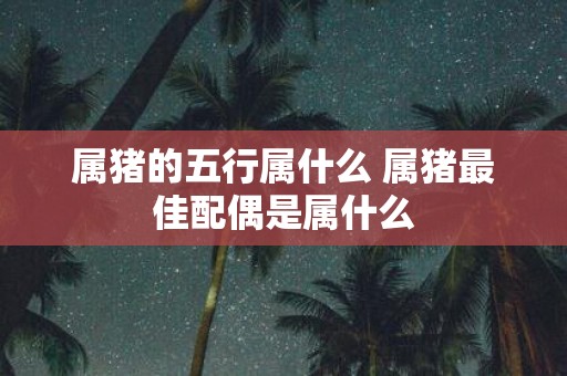 属猪的五行属什么 属猪最佳配偶是属什么