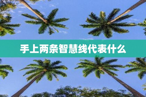 手上两条智慧线代表什么