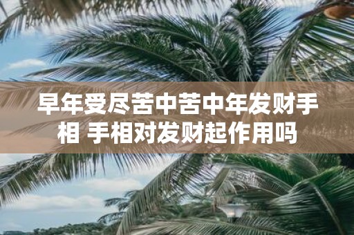 早年受尽苦中苦中年发财手相 手相对发财起作用吗