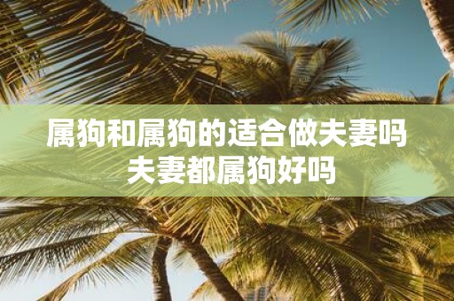 属狗和属狗的适合做夫妻吗 夫妻都属狗好吗