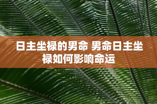 日主坐禄的男命 男命日主坐禄如何影响命运