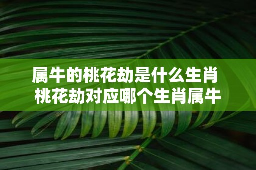 属牛的桃花劫是什么生肖 桃花劫对应哪个生肖属牛