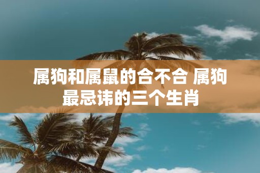 属狗和属鼠的合不合 属狗最忌讳的三个生肖