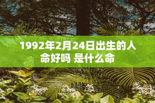 1992年2月24日出生的人命好吗 是什么命