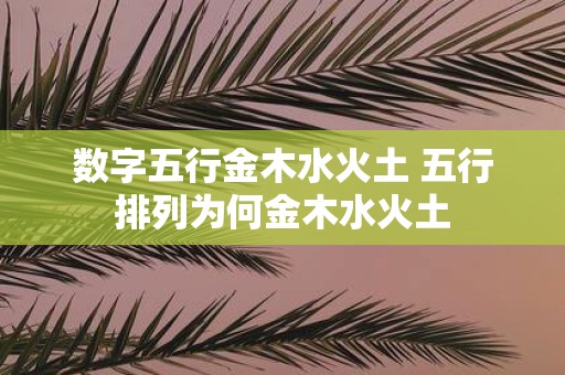 数字五行金木水火土 五行排列为何金木水火土