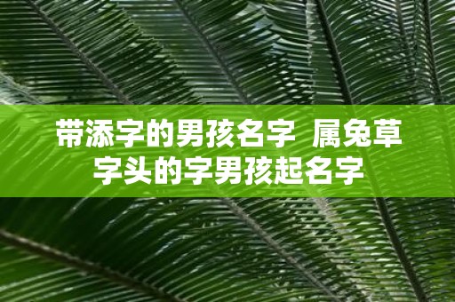 带添字的男孩名字 属兔草字头的字男孩起名字