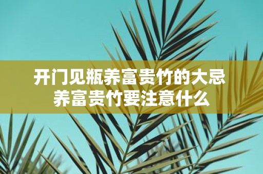 开门见瓶养富贵竹的大忌 养富贵竹要注意什么