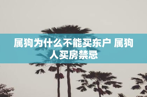 属狗为什么不能买东户 属狗人买房禁忌