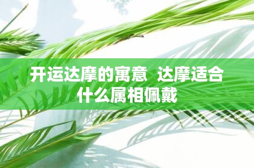 开运达摩的寓意 达摩适合什么属相佩戴