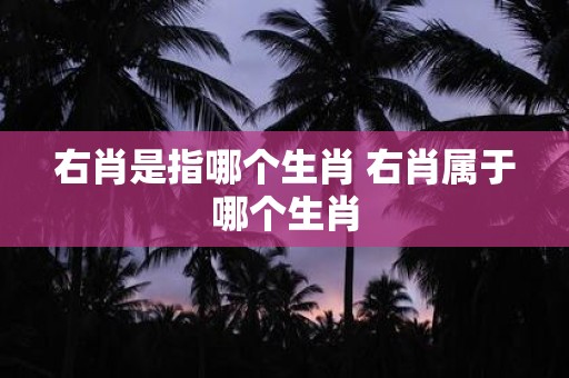 右肖是指哪个生肖 右肖属于哪个生肖
