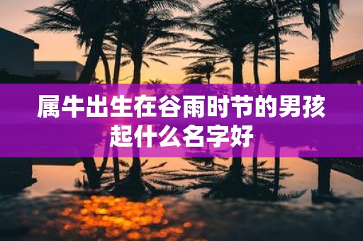 属牛出生在谷雨时节的男孩起什么名字好
