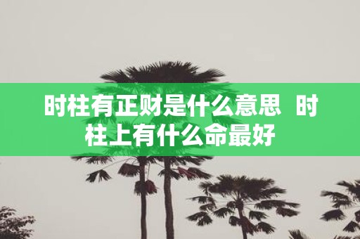 时柱有正财是什么意思 时柱上有什么命最好