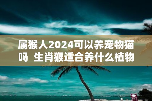 属猴人2025可以养宠物猫吗 生肖猴适合养什么植物