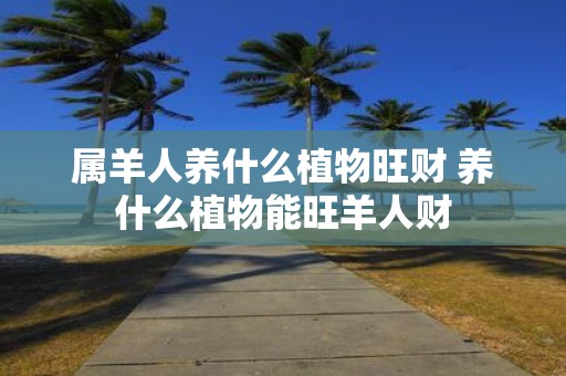 属羊人养什么植物旺财 养什么植物能旺羊人财