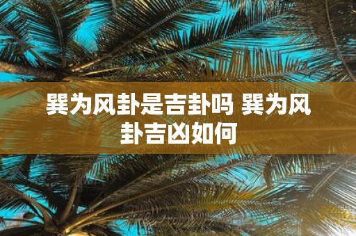 巽为风卦是吉卦吗 巽为风卦吉凶如何