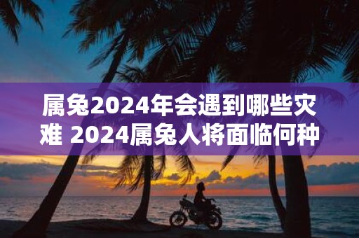 属兔2025年会遇到哪些灾难 2025属兔人将面临何种灾难
