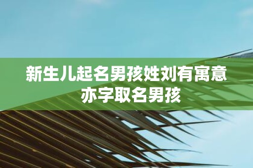 新生儿起名男孩姓刘有寓意 亦字取名男孩