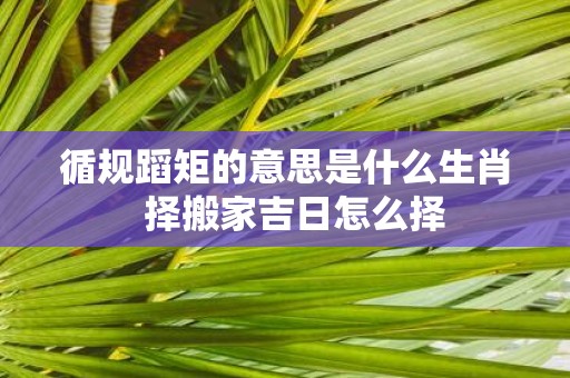 循规蹈矩的意思是什么生肖 择搬家吉日怎么择