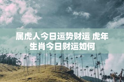 属虎人今日运势财运 虎年生肖今日财运如何
