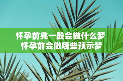 怀孕前兆一般会做什么梦 怀孕前会做哪些预示梦