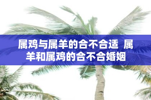 属鸡与属羊的合不合适 属羊和属鸡的合不合婚姻