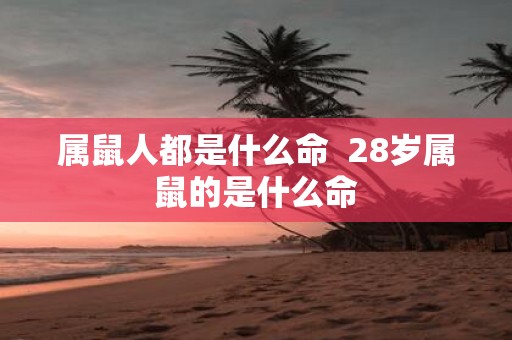 属鼠人都是什么命 28岁属鼠的是什么命