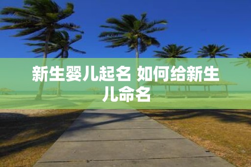 新生婴儿起名 如何给新生儿命名