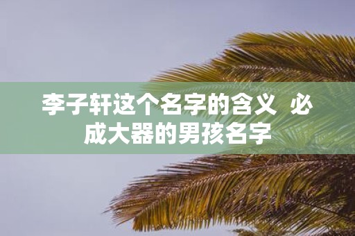 李子轩这个名字的含义 必成大器的男孩名字 李子轩这个名字的含义 必成大器的男孩名字