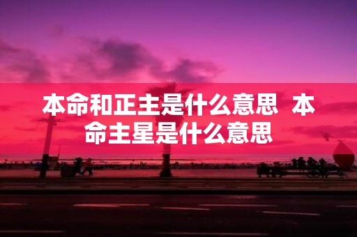 本命和正主是什么意思 本命主星是什么意思