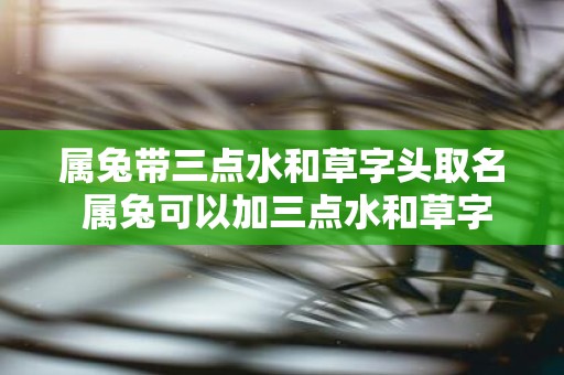 属兔带三点水和草字头取名 属兔可以加三点水和草字头起名吗