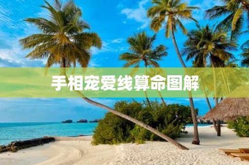 手相宠爱线算命图解