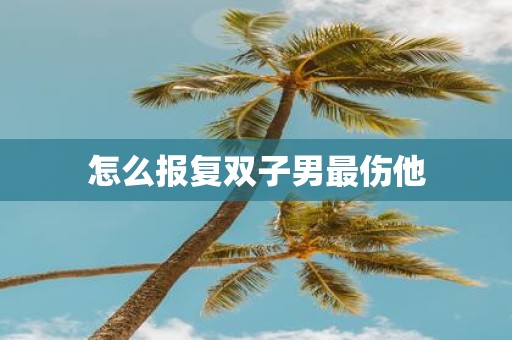怎么报复双子男最伤他