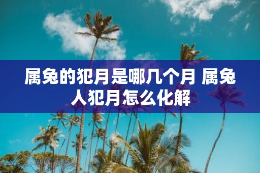 属兔的犯月是哪几个月 属兔人犯月怎么化解