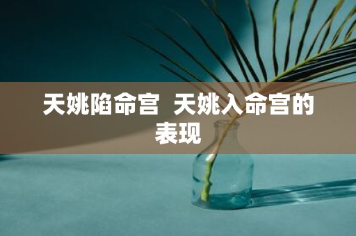 天姚陷命宫 天姚入命宫的表现