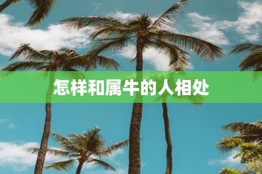 怎样和属牛的人相处