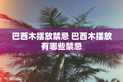 巴西木摆放禁忌 巴西木摆放有哪些禁忌
