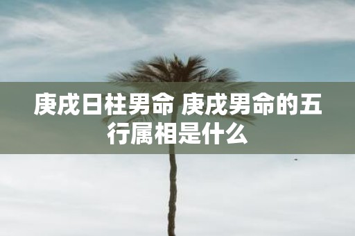 庚戌日柱男命 庚戌男命的五行属相是什么