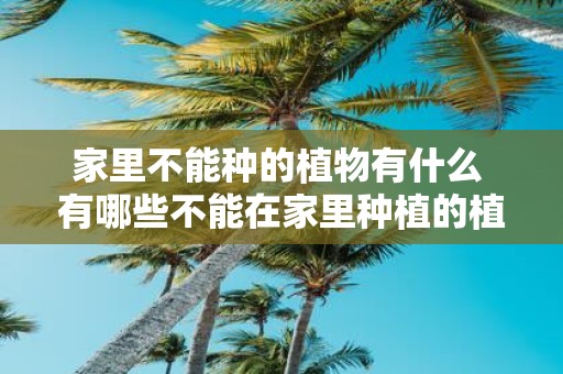 家里不能种的植物有什么 有哪些不能在家里种植的植物