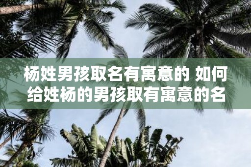 杨姓男孩取名有寓意的 如何给姓杨的男孩取有寓意的名字