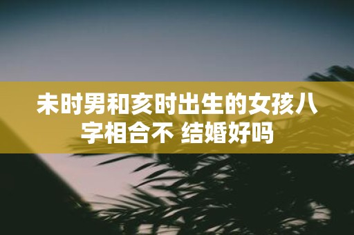 未时男和亥时出生的女孩八字相合不 结婚好吗