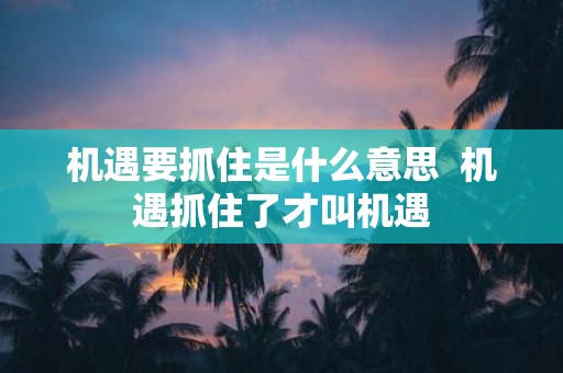 机遇要抓住是什么意思 机遇抓住了才叫机遇