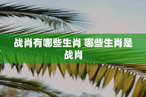 战肖有哪些生肖 哪些生肖是战肖