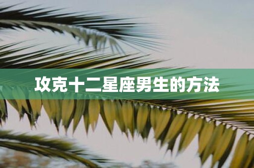 攻克十二星座男生的方法