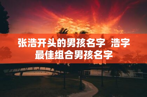 张浩开头的男孩名字 浩字最佳组合男孩名字