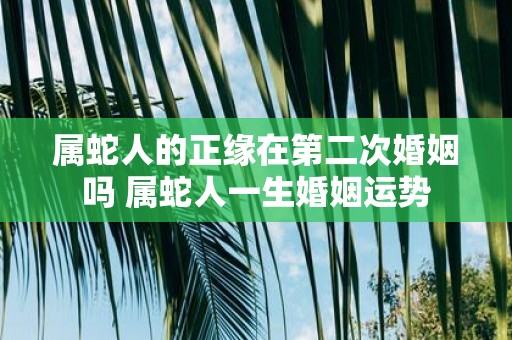 属蛇人的正缘在第二次婚姻吗 属蛇人一生婚姻运势