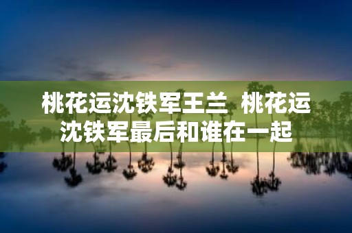 桃花运沈铁军王兰 桃花运沈铁军最后和谁在一起
