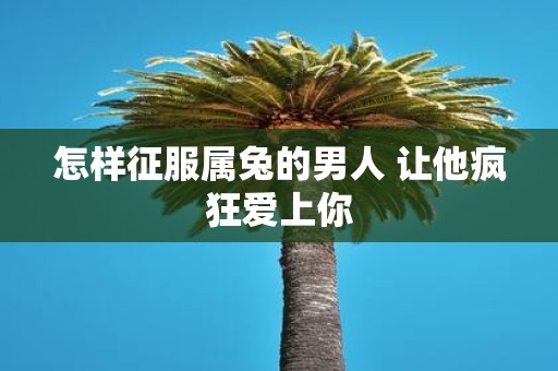 怎样征服属兔的男人 让他疯狂爱上你