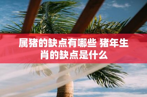 属猪的缺点有哪些 猪年生肖的缺点是什么