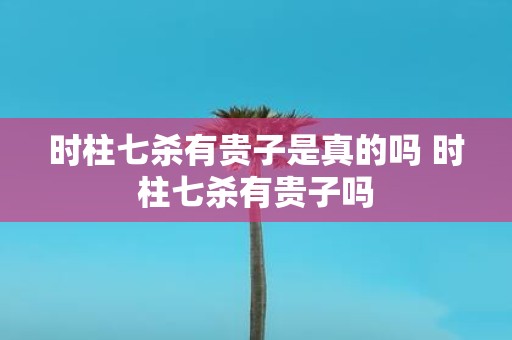 时柱七杀有贵子是真的吗 时柱七杀有贵子吗